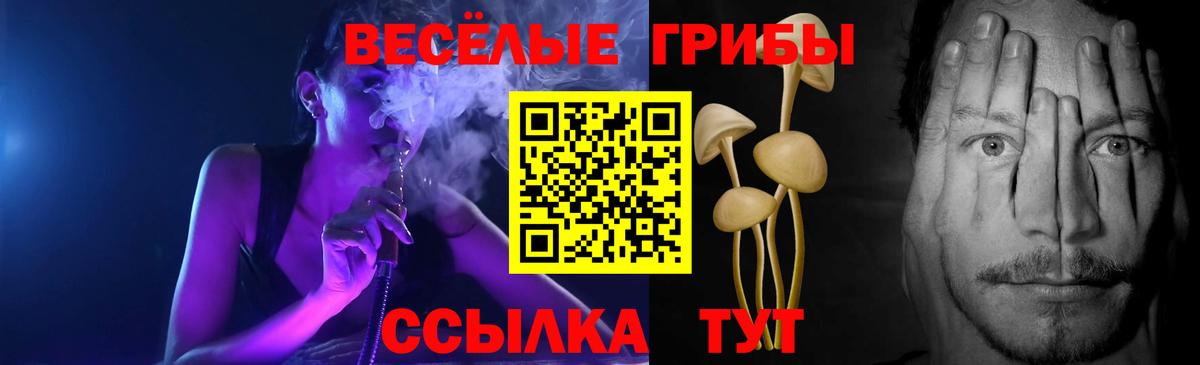 Трёхгорный  купить наркотик  Вход с VPN  Псилоцибиновые грибы GOLDEN TEACHER 