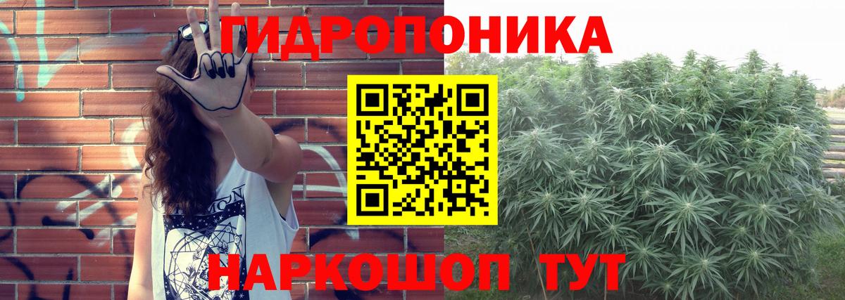 Бошки Шишки сатива  Вход с VPN  Каннабис Bruce Banner  Трёхгорный  МАРИХУАНА LSD WEED  Конопля ГИДРОПОН 